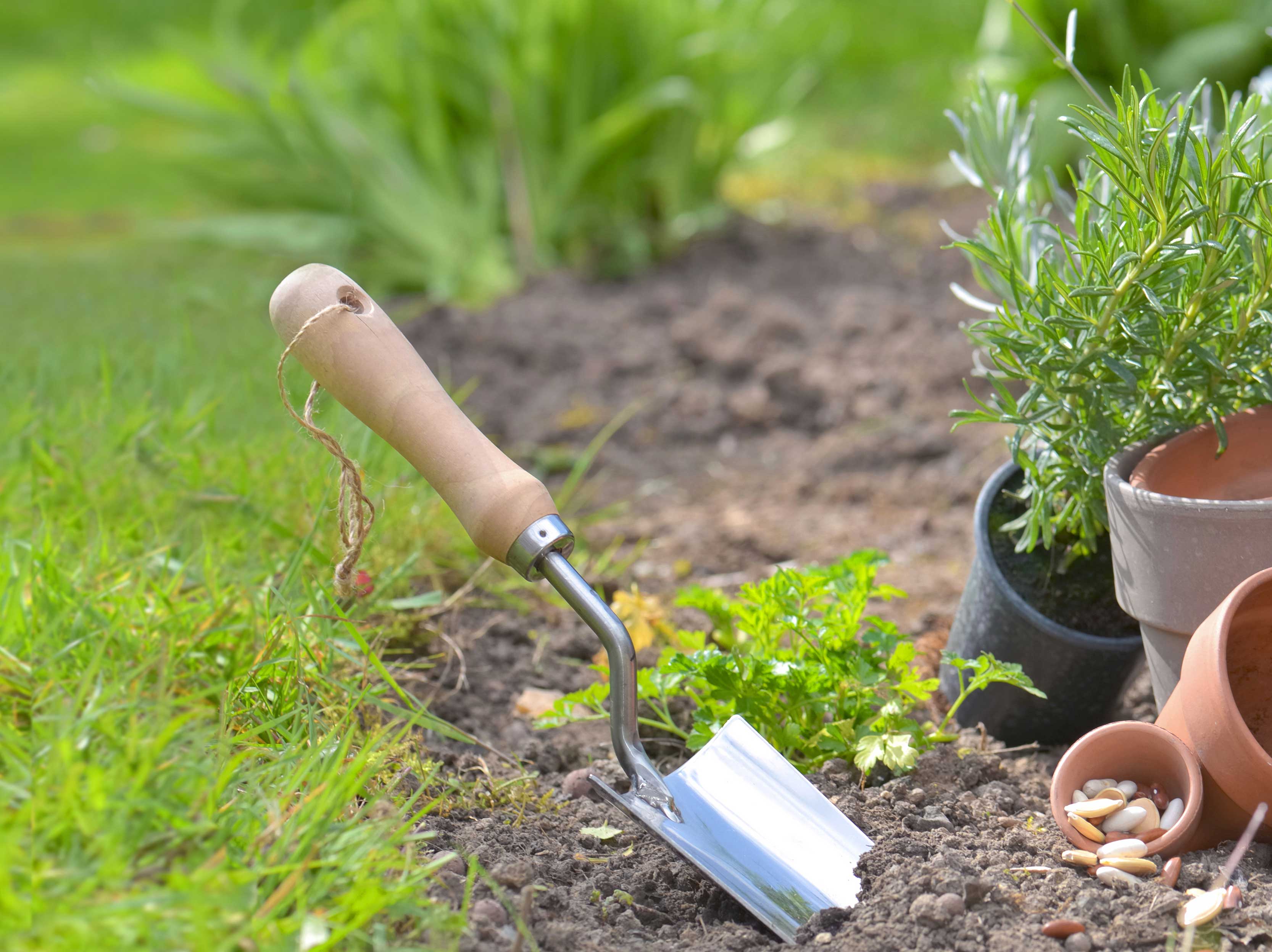 Gardening